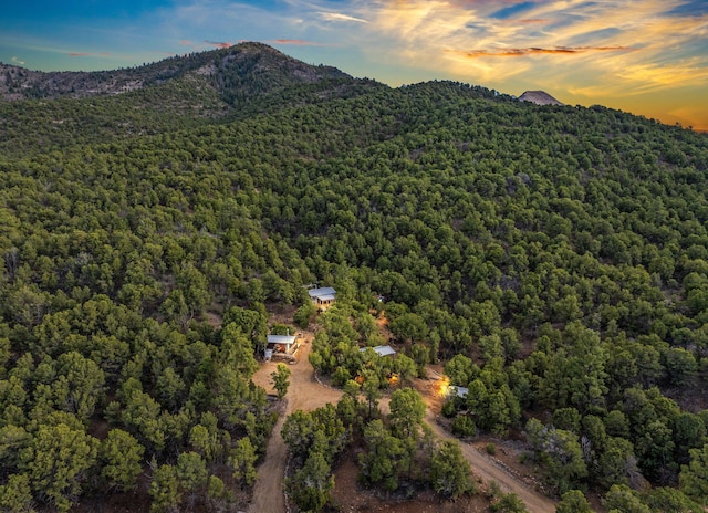 14 Ranchitos Rd, Sandia Park, NM 87047 - photo 5