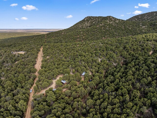 14 Ranchitos Rd, Sandia Park, NM 87047 - photo 3