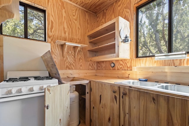 14 Ranchitos Rd, Sandia Park, NM 87047 - photo 20