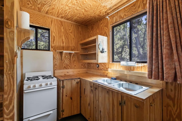 14 Ranchitos Rd, Sandia Park, NM 87047 - photo 19