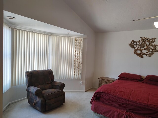 1511 Lundy Ln SW, Albuquerque, NM 87105 - photo 53