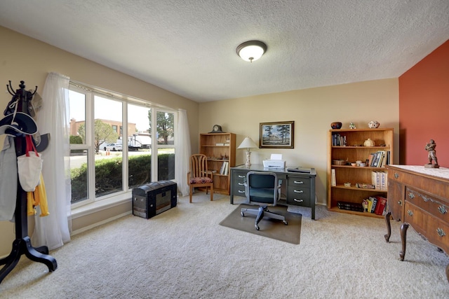 6800 Esther Ave NE, Albuquerque, NM 87109 - photo 8