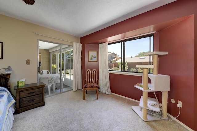 6800 Esther Ave NE, Albuquerque, NM 87109 - photo 22