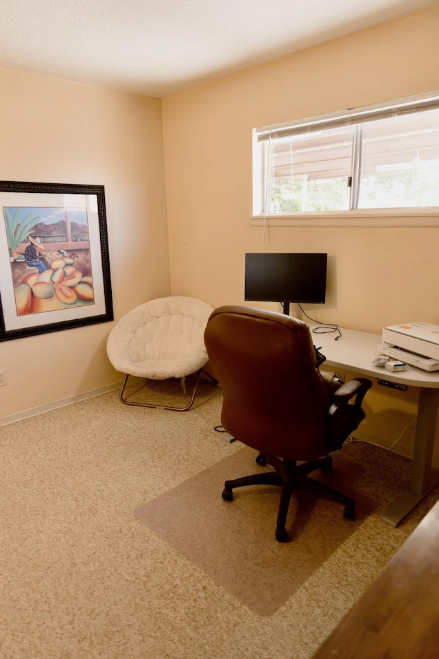 1810 Miller Cir NW, Albuquerque, NM 87107 - photo 22
