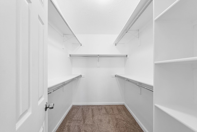 4432 La Paloma Rd NW, Albuquerque, NM 87120 - spacious closet featuring carpet floors
