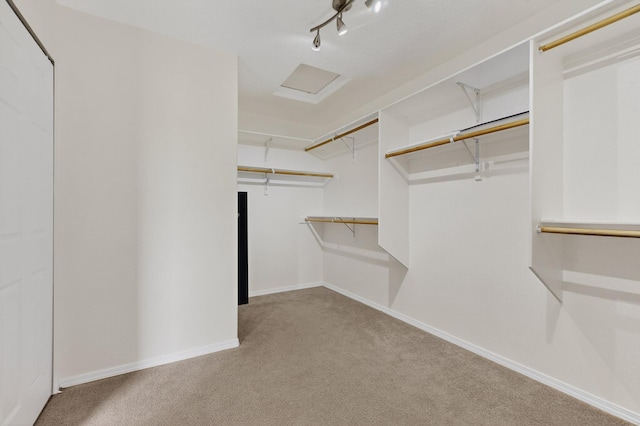 1191 Carrizo St NW, Los Lunas, NM 87031 - walk in closet featuring carpet floors