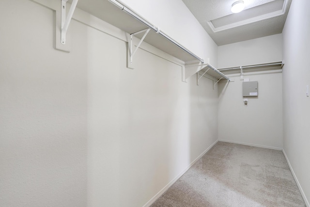 1852 Smarty Jones St SE, Albuquerque, NM 87123 - spacious closet featuring carpet