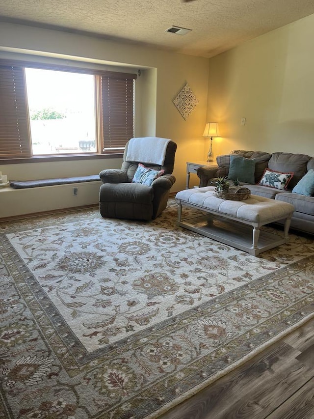 34358 US Highway 285, Ojo Caliente, NM 87549 - living area featuring a textured ceiling and wood finished floors