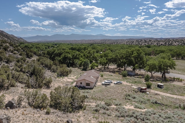 34358 US Highway 285, Ojo Caliente, NM 87549 - view of mountain background with a forest