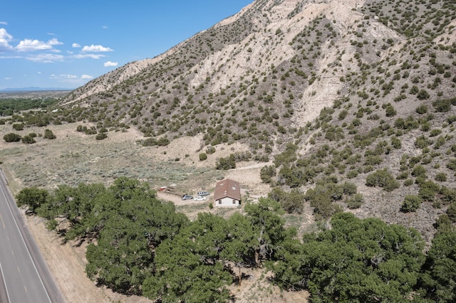 34358 US Highway 285, Ojo Caliente, NM 87549 - view of mountain background