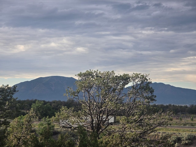 2 Tierra Linda, Edgewood, NM 87015 - photo 12