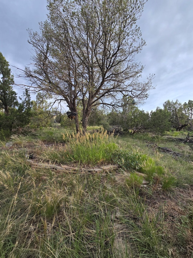 2 Tierra Linda, Edgewood, NM 87015 - photo 54