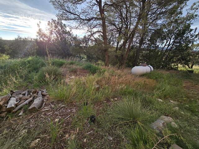 2 Tierra Linda, Edgewood, NM 87015 - photo 55