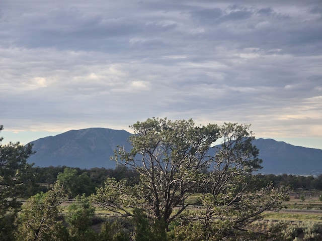 2 Tierra Linda, Edgewood, NM 87015 - photo 57