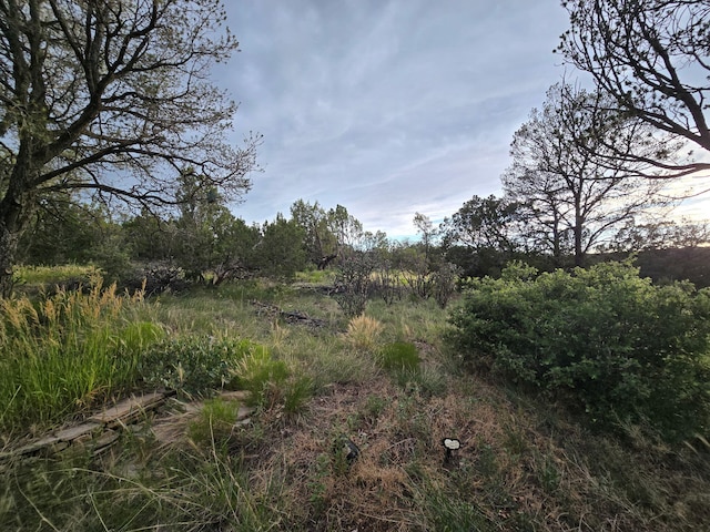 2 Tierra Linda, Edgewood, NM 87015 - photo 60