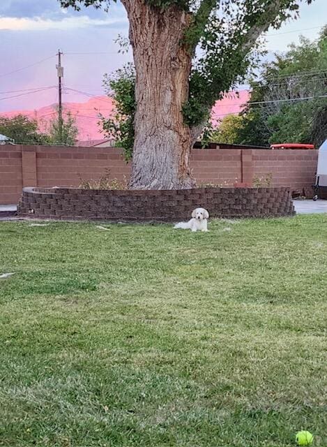 9816 Riverside Rd NW, Albuquerque, NM 87114 - photo 43