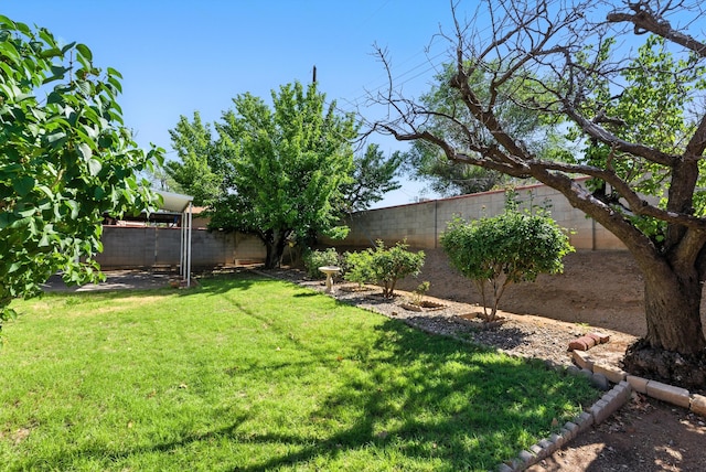 11517 San Jacinto Ave NE, Albuquerque, NM 87112 - view of fenced backyard