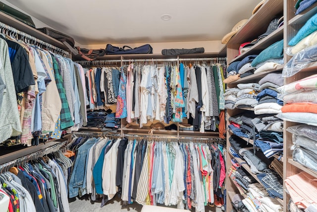 15 Sunset Blvd, Placitas, NM 87043 - walk in closet with carpet