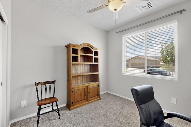 1994 Tesoro Loop NW, Los Lunas, NM 87031 - photo 31