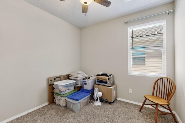 1994 Tesoro Loop NW, Los Lunas, NM 87031 - photo 28