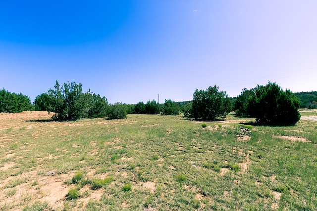 1 Apple Mountain Rd, Estancia, NM 87016 - photo 40