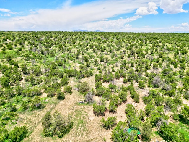 21 Valley Trl, Edgewood, NM 87015 - photo 39