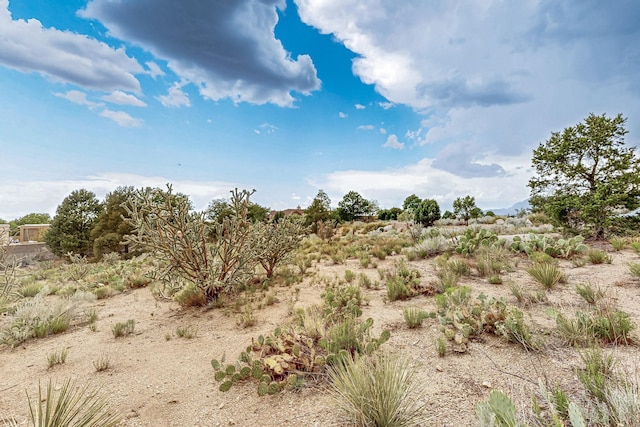4915 Cresta Del Sur Ct NE, Albuquerque, NM 87111 - photo 15