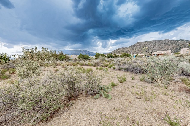 4915 Cresta Del Sur Ct NE, Albuquerque, NM 87111 - photo 18