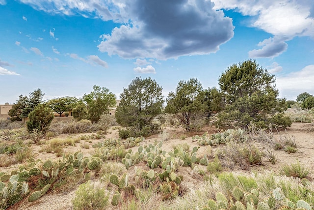 4915 Cresta Del Sur Ct NE, Albuquerque, NM 87111 - photo 31