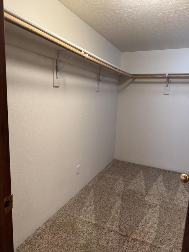 7209 Dancing Eagle Ave NE, Albuquerque, NM 87113 - photo 22