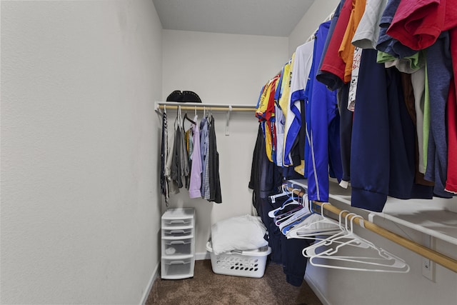 44 Los Balcones Pl NE, Rio Rancho, NM 87124 - spacious closet with carpet floors
