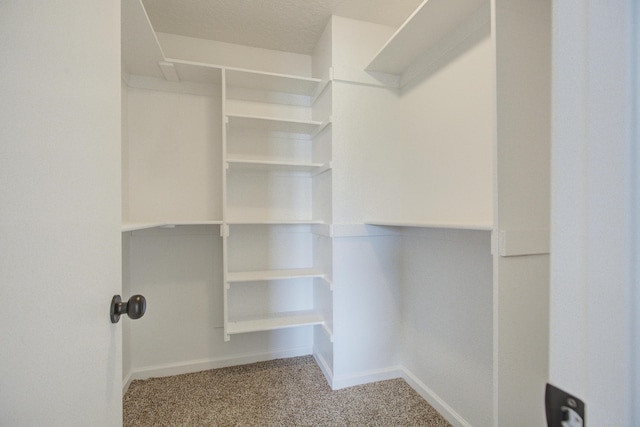 4920 Black Dr NW, Albuquerque, NM 87120 - spacious closet featuring carpet
