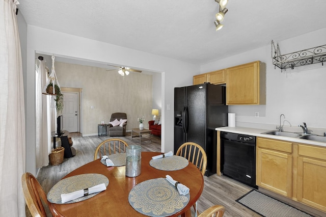 10639 Miera Dr NW, Albuquerque, NM 87114 - kitchen featuring black appliances, light wood-style flooring, light brown cabinetry, and ceiling fan