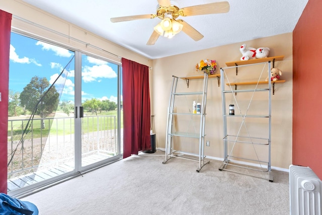 6412 Saint Josephs Ave NW, Albuquerque, NM 87120 - workout area featuring radiator, carpet, and a ceiling fan