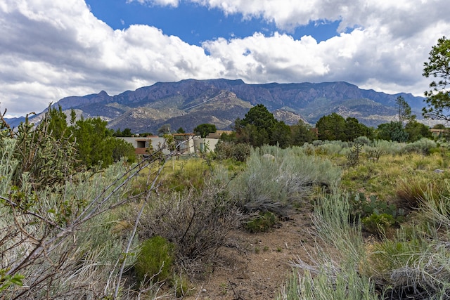 1121 Marigold Dr NE, Albuquerque, NM 87122 - photo 61