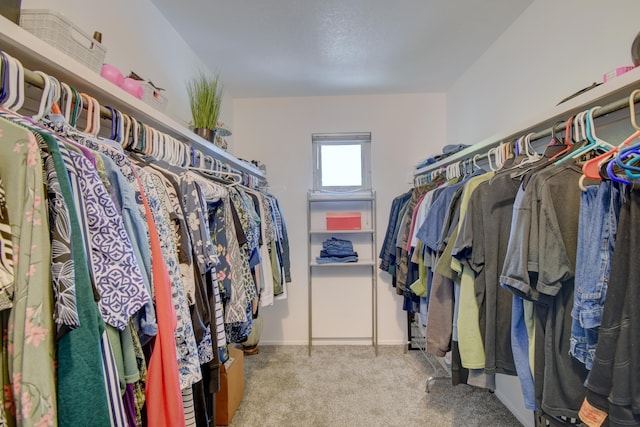 9212 Orlando Pl NE, Albuquerque, NM 87111 - photo 16