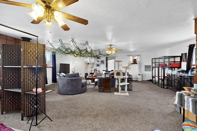 2374 Camino Meliton, Santa Fe, NM 87507 - photo 19