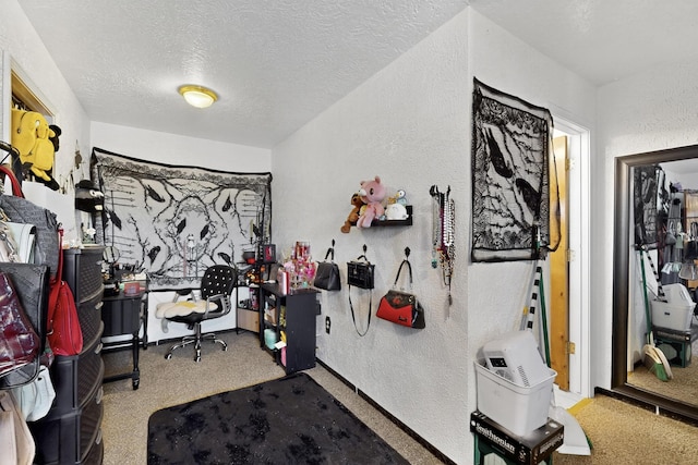 2374 Camino Meliton, Santa Fe, NM 87507 - photo 28