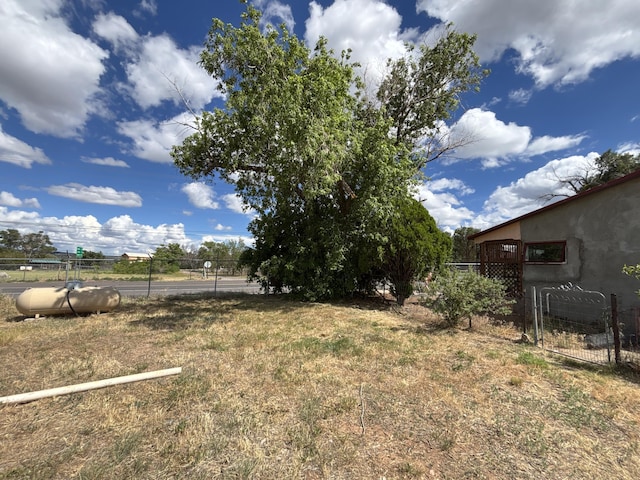 2 Bus Ln, Sandia Park, NM 87047 - view of yard