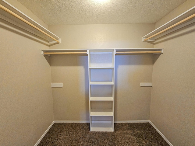 10640 Capricorn Pl NW, Albuquerque, NM 87114 - photo 38