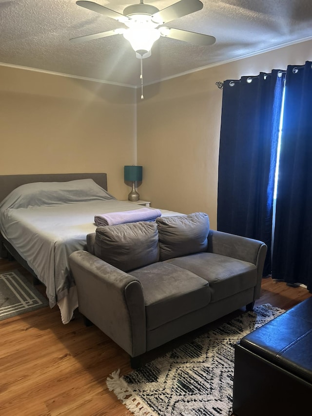 206 Meek St, Socorro, NM 87801 - photo 16