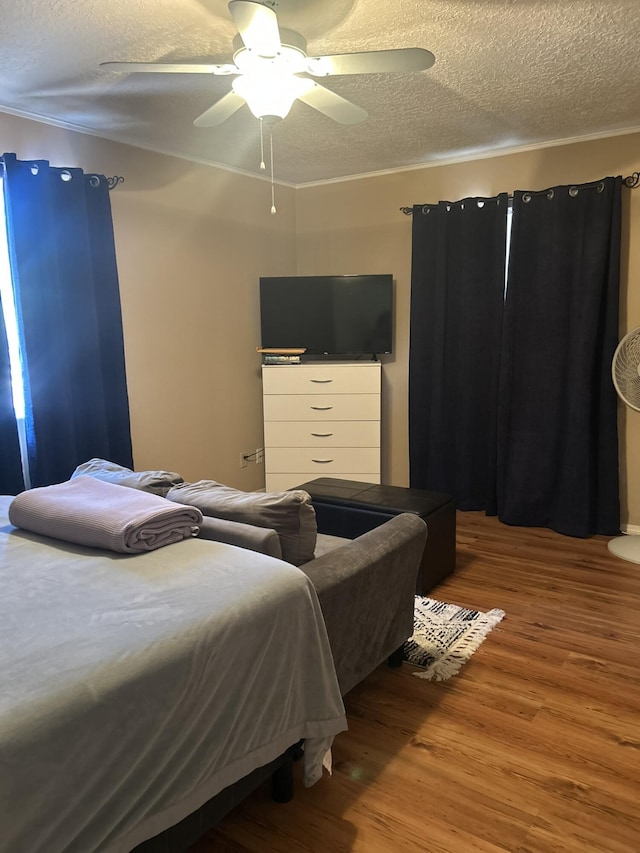 206 Meek St, Socorro, NM 87801 - photo 17