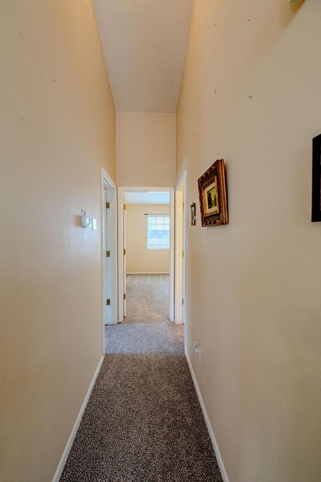 6715 Platt Pl NW, Albuquerque, NM 87114 - photo 26