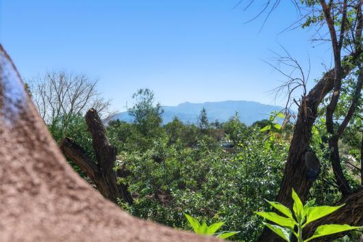 118 Sandia View Rd, Corrales, NM 87048 - photo 30