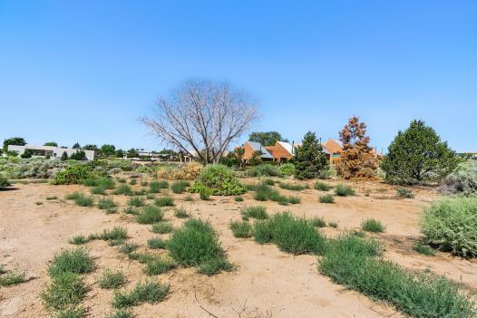 118 Sandia View Rd, Corrales, NM 87048 - photo 37
