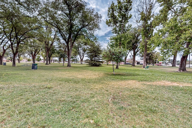 7719 Euclid Ave NE, Albuquerque, NM 87110 - view of green lawn