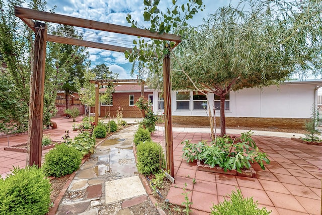 7719 Euclid Ave NE, Albuquerque, NM 87110 - view of yard featuring a pergola and a patio area