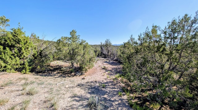 34 Tecolote Ct, Sandia Park, NM 87047 - photo 5