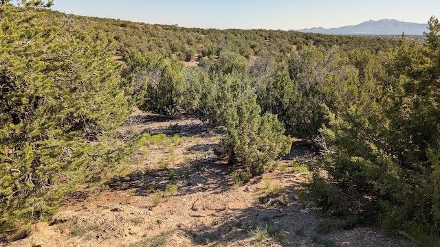 34 Tecolote Ct, Sandia Park, NM 87047 - photo 6