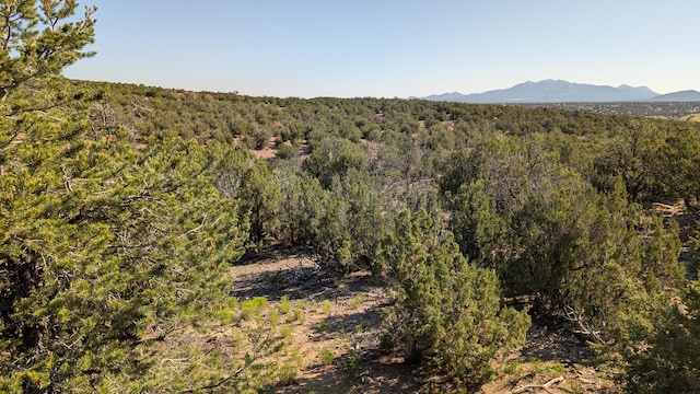 34 Tecolote Ct, Sandia Park, NM 87047 - photo 7